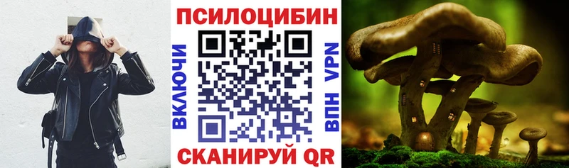 Купить где  Пыталово  Псилоцибиновые грибы Psilocybe 